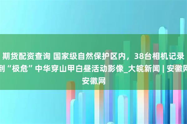 期货配资查询 国家级自然保护区内，38台相机记录到“极危”中华穿山甲白昼活动影像_大皖新闻 | 安徽网
