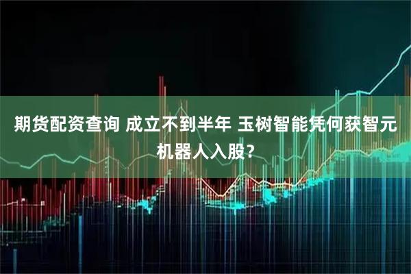 期货配资查询 成立不到半年 玉树智能凭何获智元机器人入股？